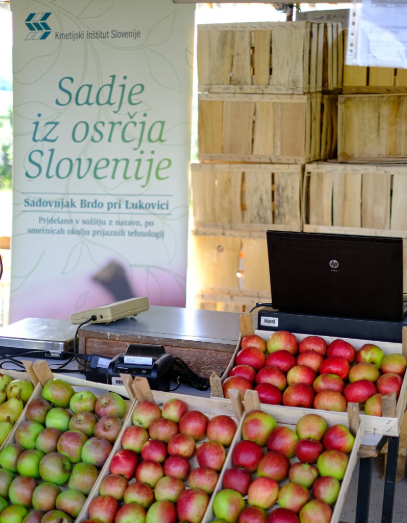 Tržnica dobrot znova odpira vrata