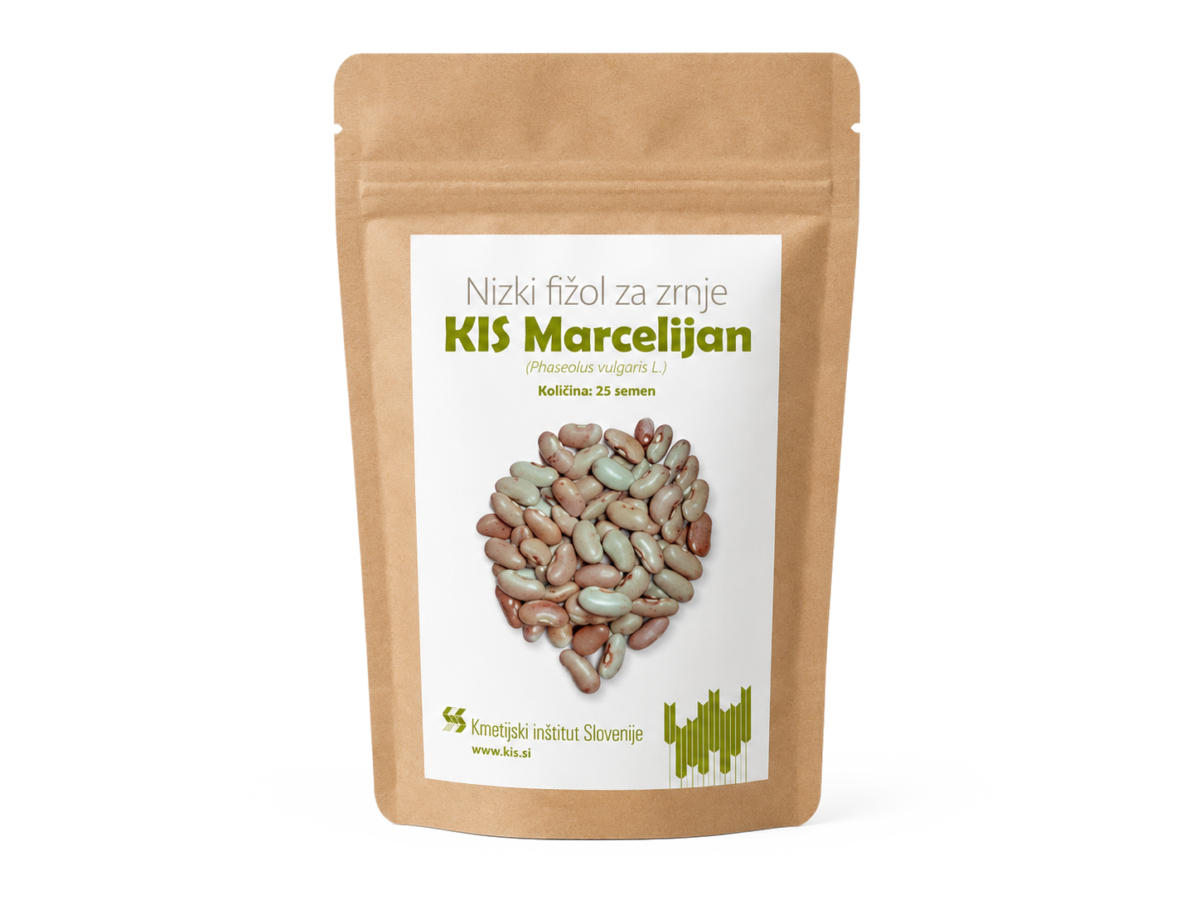 KIS Marcelijan